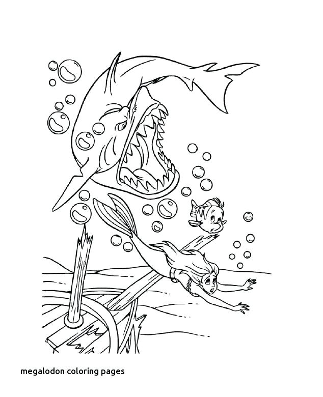 Megalodon Para Colorear Best Ocean Images On For Coloring Pages 634x780 Megalodon Para Colorear Best Ocean Images On For Coloring Pages