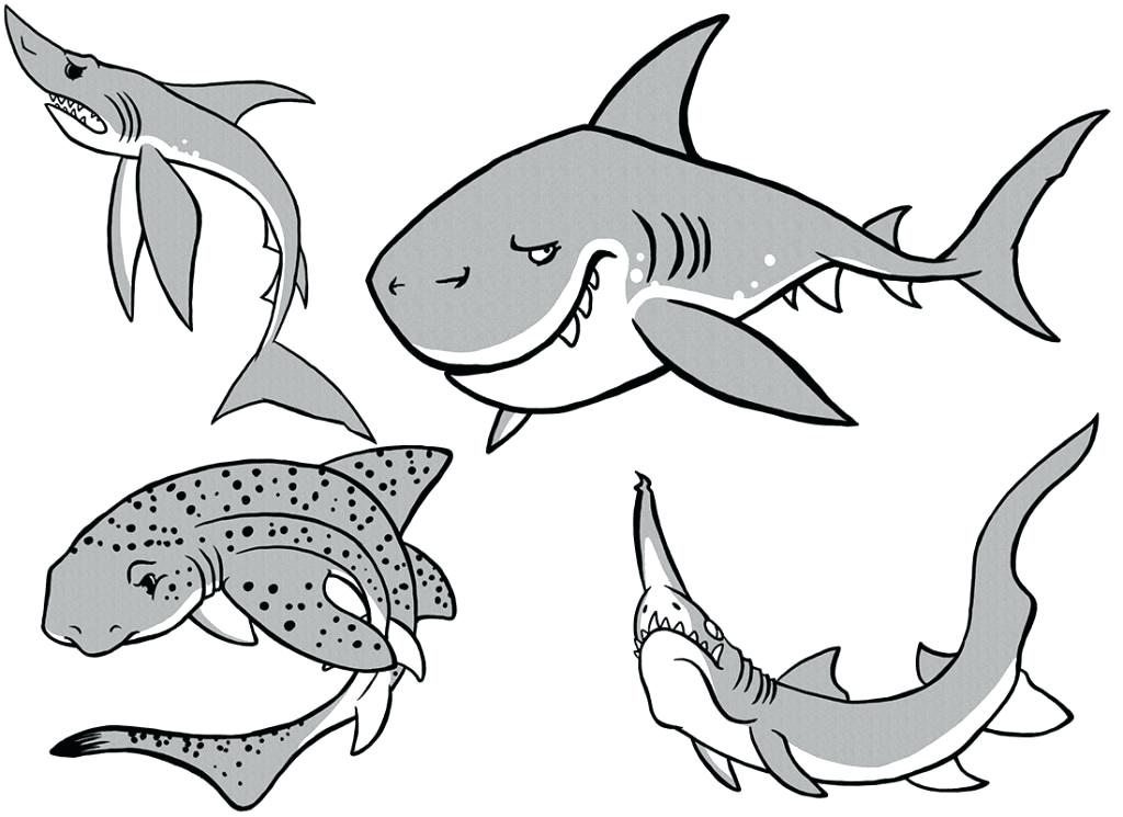 Megalodon Shark Coloring Pages Shark Coloring Pages Top Gear 1024x745 Megalodon Shark Coloring Pages Shark Coloring Pages Top Gear