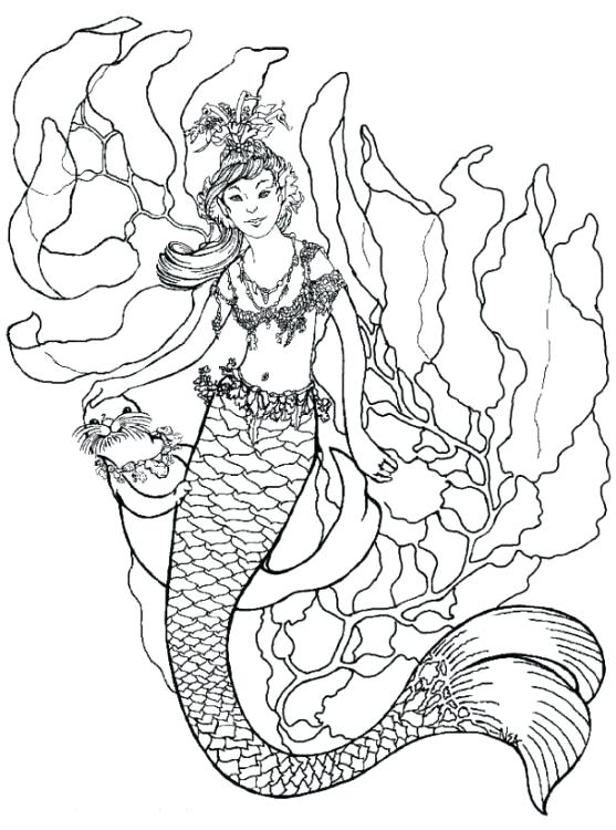 Mermaid Coloring Pages Free Mermaid Printable Coloring Pages Hello 557x750 Mermaid Coloring Pages Free Mermaid Printable Coloring Pages Hello