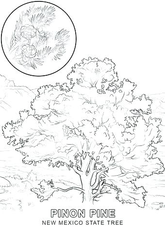 340x480 Mexico Coloring Pages Man Coloring Page Free Coloring Pages Free