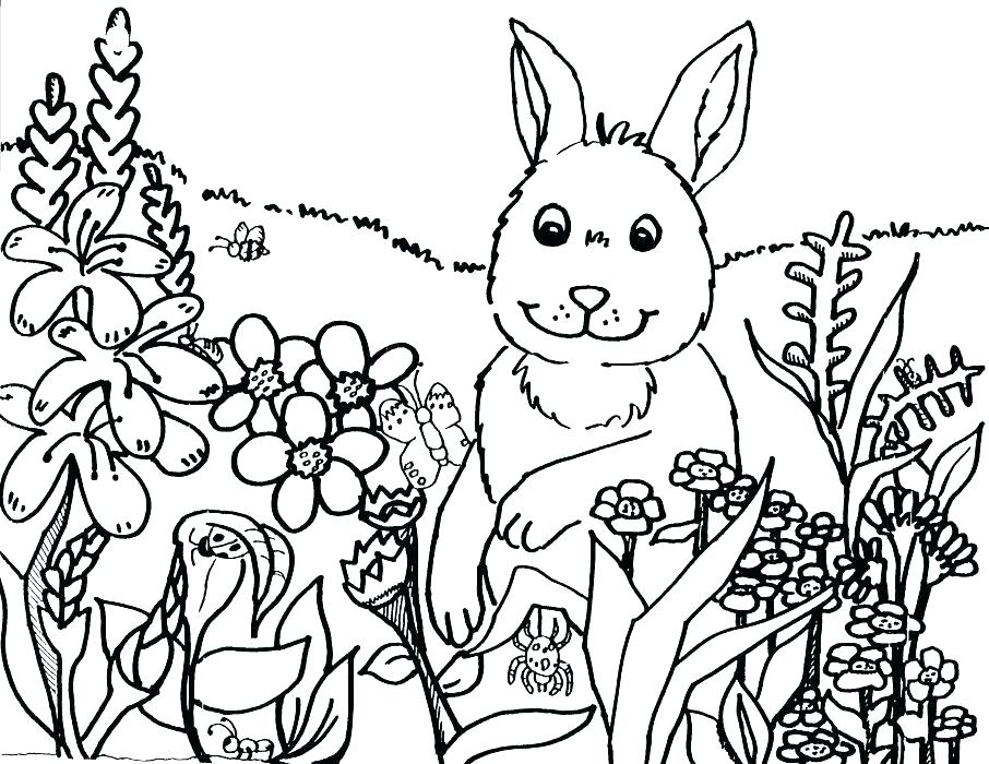 New Mexico Coloring Pages New Colori Pages Pages Rabbit 906x700 New Mexico Coloring Pages New Colori Pages Pages Rabbit