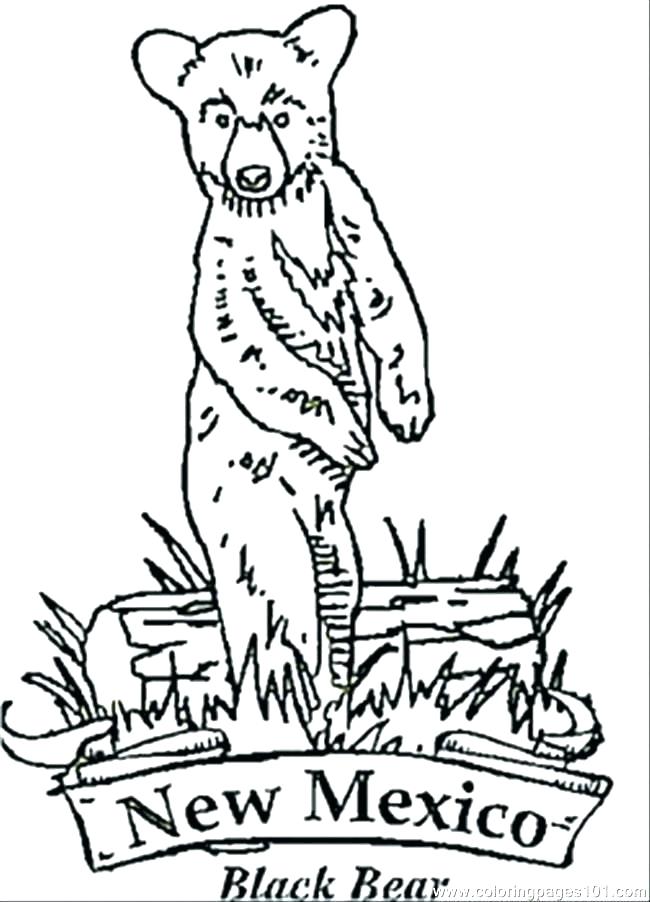 650x902 New Mexico Coloring Pages New Coloring Pages New Coloring Pages