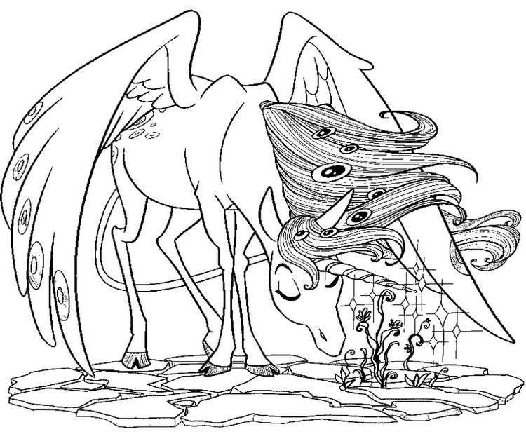 28 Mia And Me Coloring Pages Compilation Free Coloring Pages 750x619 28 Mia And Me Coloring Pages Compilation Free Coloring Pages