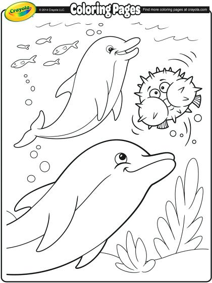 Dolphins Coloring Page Cute Dolphin Coloring Pages Miami Dolphins 420x560 Dolphins Coloring Page Cute Dolphin Coloring Pages Miami Dolphins