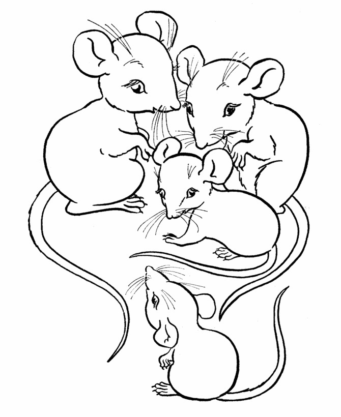 670x820 Free Printable Mouse Coloring Pages For Kids