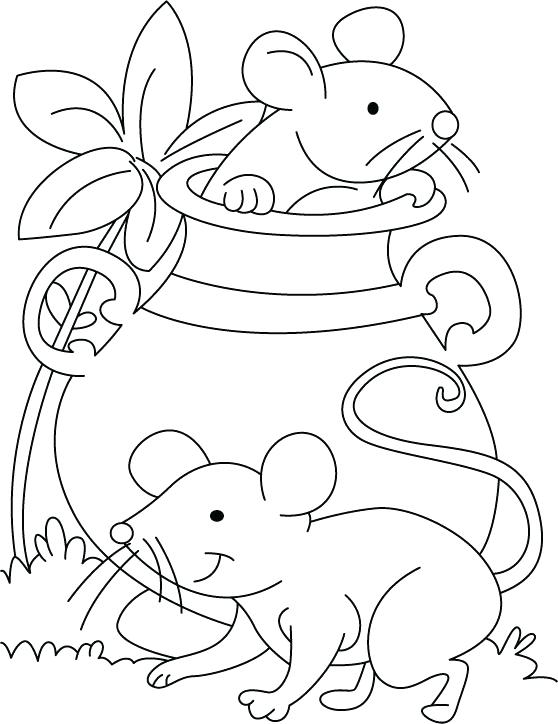558x724 Coloring Page Mouse Mouse Coloring Page Coloring Page Coloring