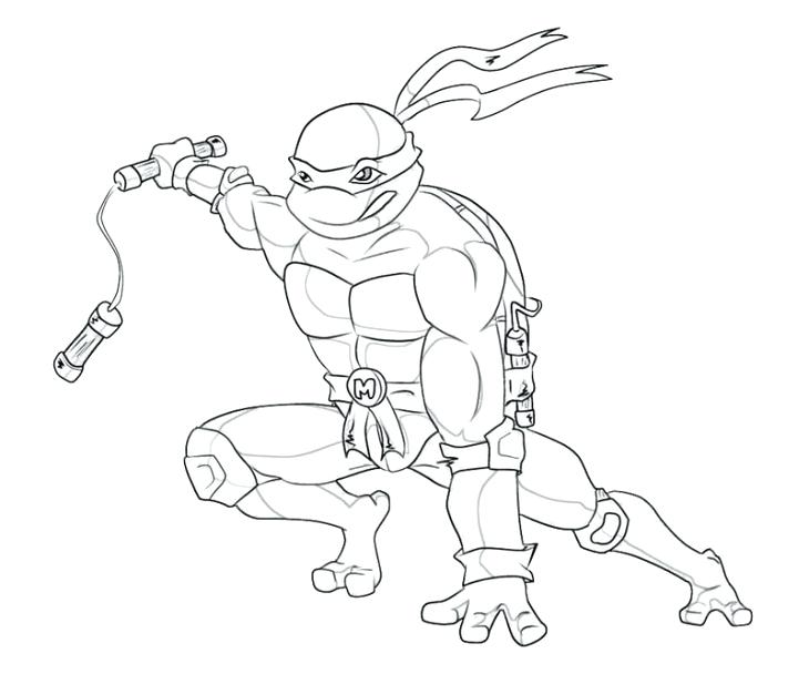 Michelangelo Coloring Pages Free Online Coloring Page 730x608 Michelangelo Coloring Pages Free Online Coloring Page