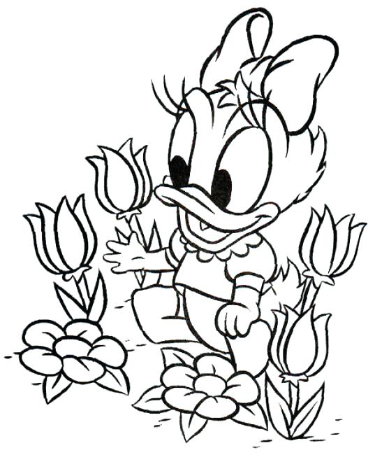 537x650 Mickey Mouse Baby Coloring Pages Mickey Mouse Baby Coloring Pages