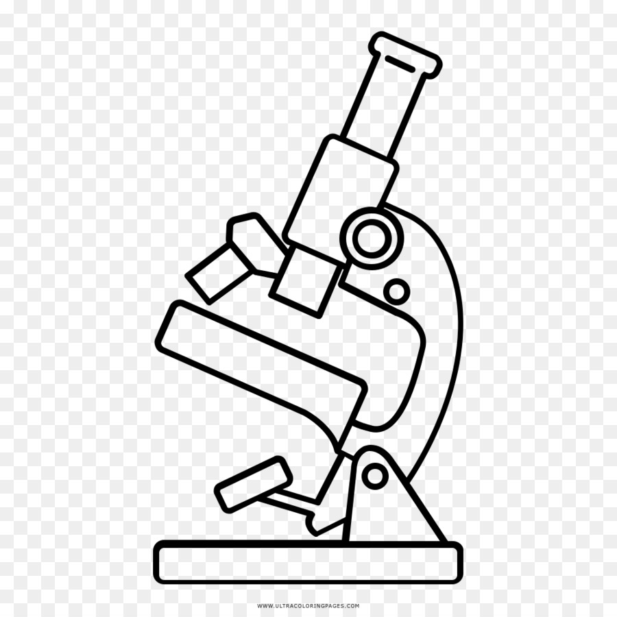 900x900 Drawing Microscope Line Art Coloring Book