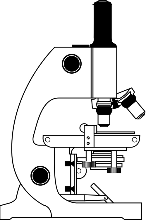 499x750 Coloring Page Microscope