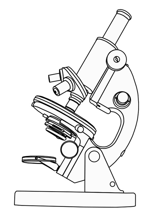 531x750 Coloring Page Microscope