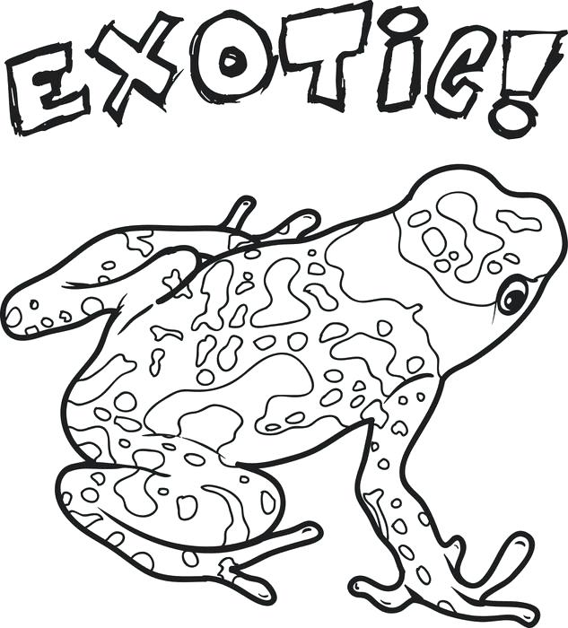 Middle School Coloring Pages Exotic Frog Coloring Page Middle 633x700 Middle School Coloring Pages Exotic Frog Coloring Page Middle