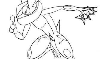 355x200 Still Life Coloring Pages Printable Coloring For Kids 2018