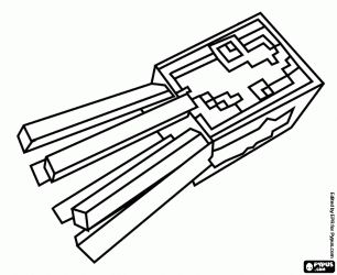 Drawn Squid Coloring Page 306x250 Drawn Squid Coloring Page