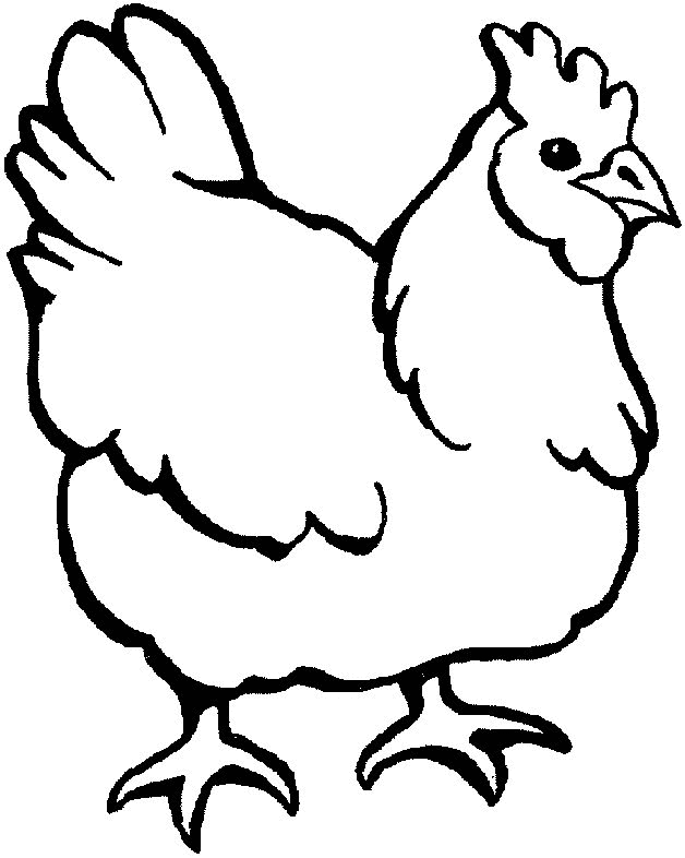 Chicken Coloring Page Printable Coloring Pages 628x786 Chicken Coloring Page Printable Coloring Pages