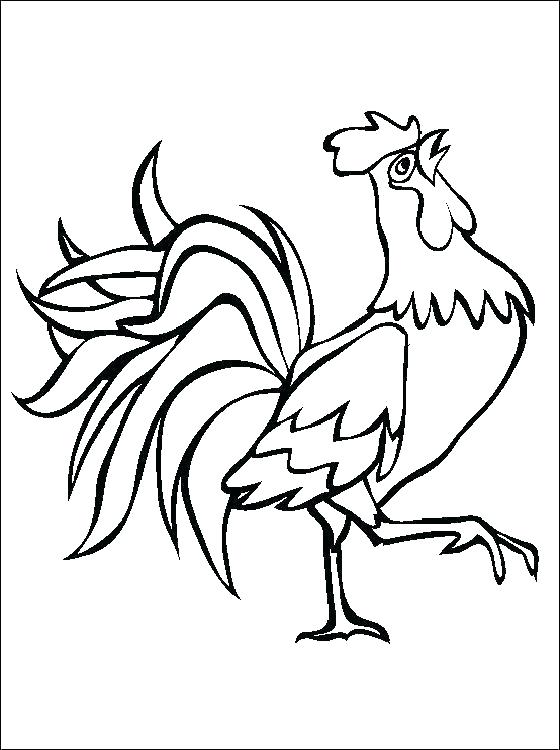 Chicken Coloring Page New Year Year Of The Rooster Coloring Page 560x750 Chicken Coloring Page New Year Year Of The Rooster Coloring Page