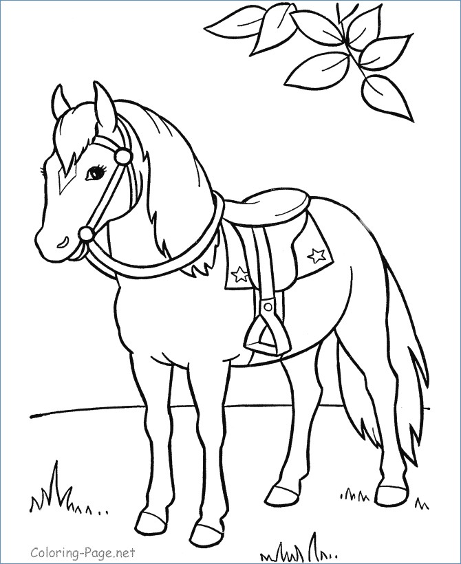 670x820 Horse Animal Coloring Pages Boys
