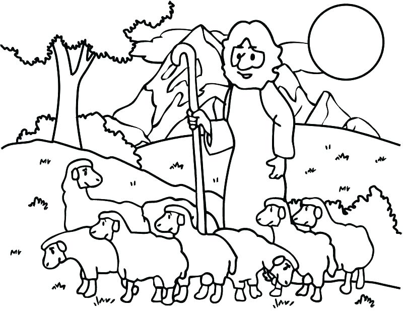 800x617 Sheep Coloring Page Sheep And Shepherd Coloring Page Coloring Page