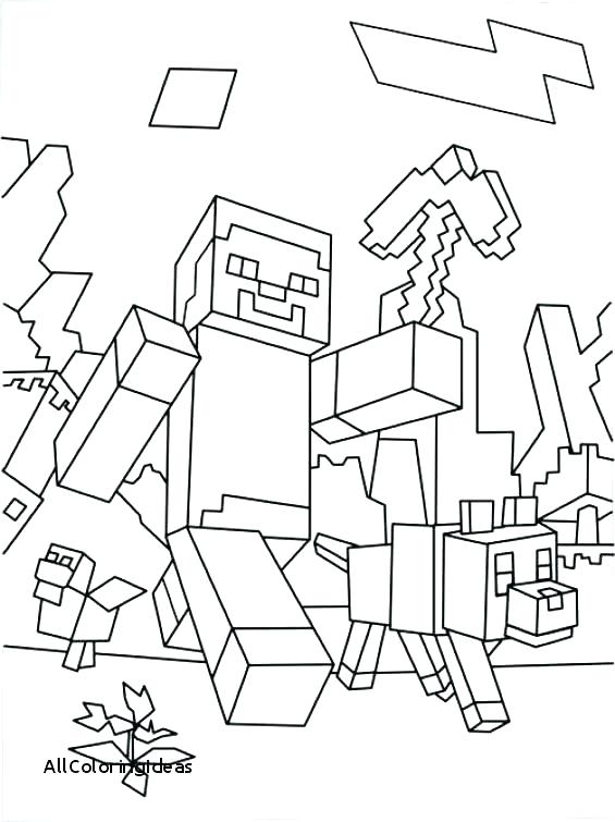 Minecraft Steve Coloring Pages at GetColorings.com | Free printable ...