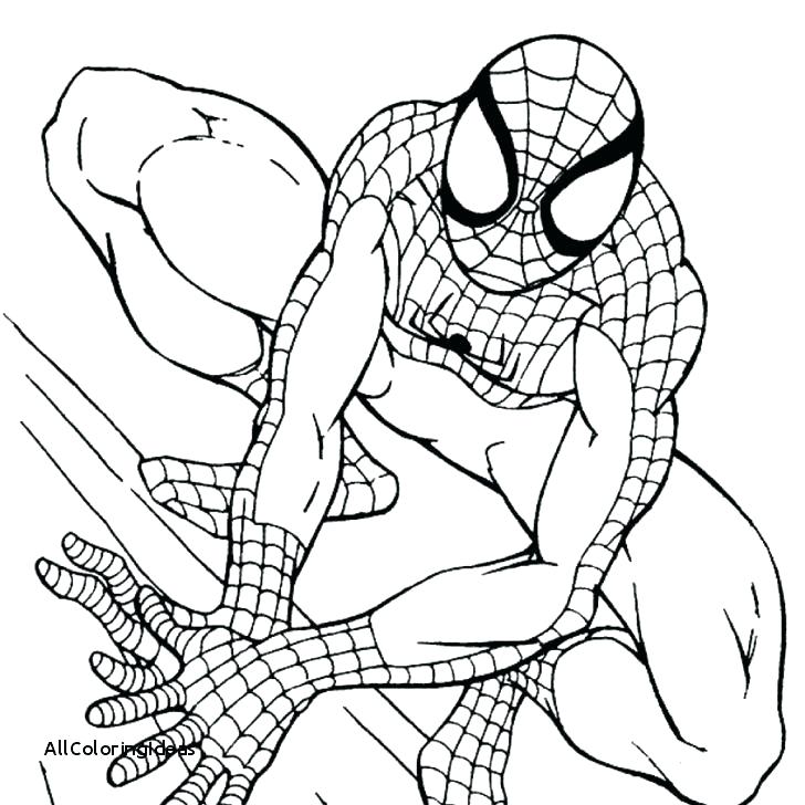 Sly Cooper Coloring Pages Despicable Me Coloring Pages Free 728x728 Sly Cooper Coloring Pages Despicable Me Coloring Pages Free