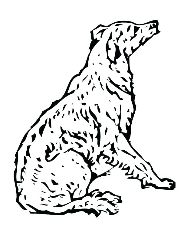 Poodle Coloring Pages To Print Free Printable Poodle Coloring 618x800 Poodle Coloring Pages To Print Free Printable Poodle Coloring
