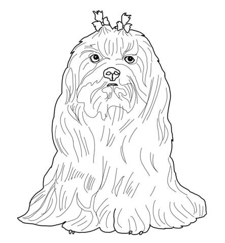 Rottweiler Coloring Page 443x480 Rottweiler Coloring Page