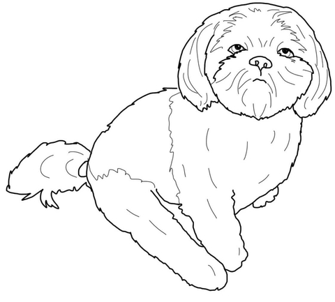Shih Tzu Coloring Page Free Printable Coloring Pages Art 480x433 Shih Tzu Coloring Page Free Printable Coloring Pages Art