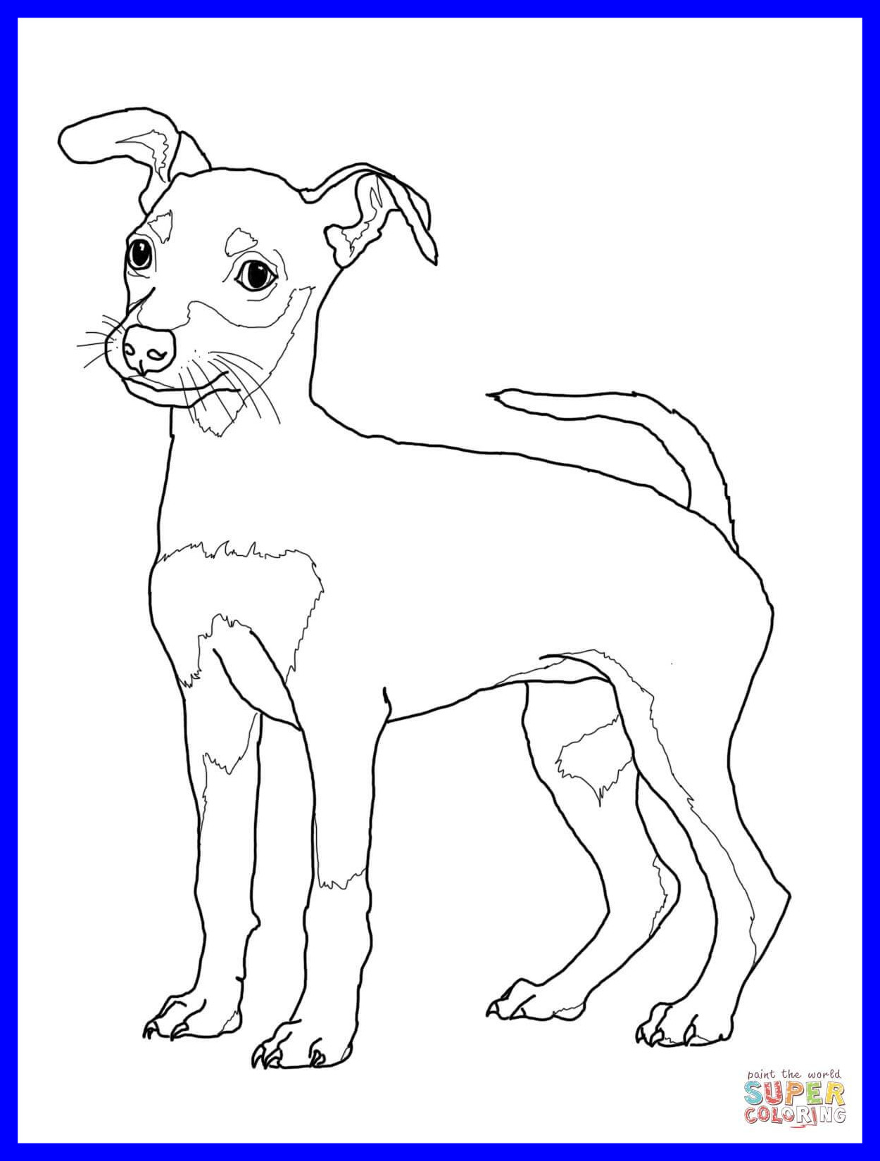 Stunning Coloring Pages Of Goldendoodle Puppies Color Sheets 1250x1650 Stunning Coloring Pages Of Goldendoodle Puppies Color Sheets