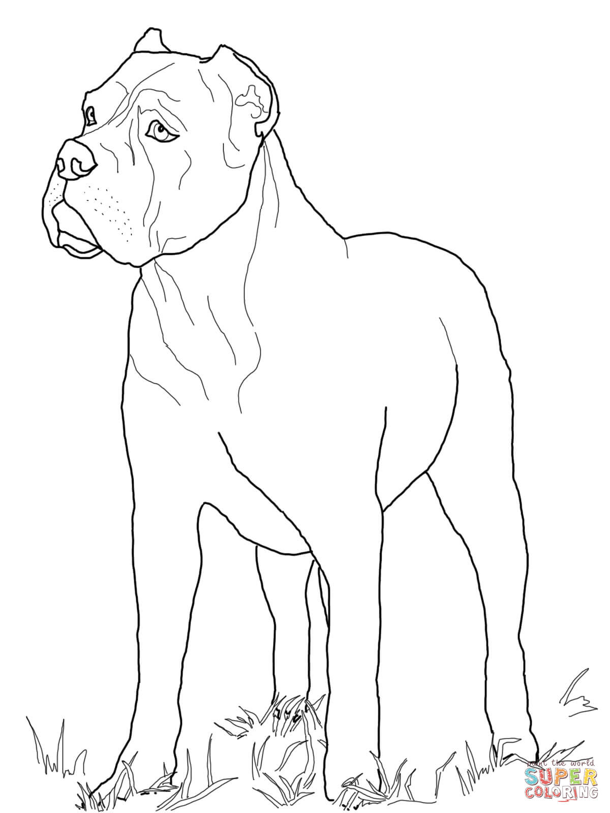 Doberman Coloring Pages Free Coloring Pages Of How To Draw A Doberman 1200x1600 Doberman Coloring Pages Free Coloring Pages Of How To Draw A Doberman
