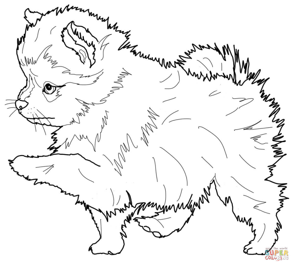 Expert Rottweiler Puppies Coloring Pages Pomeranian Puppy Page 1200x1088 Expert Rottweiler Puppies Coloring Pages Pomeranian Puppy Page
