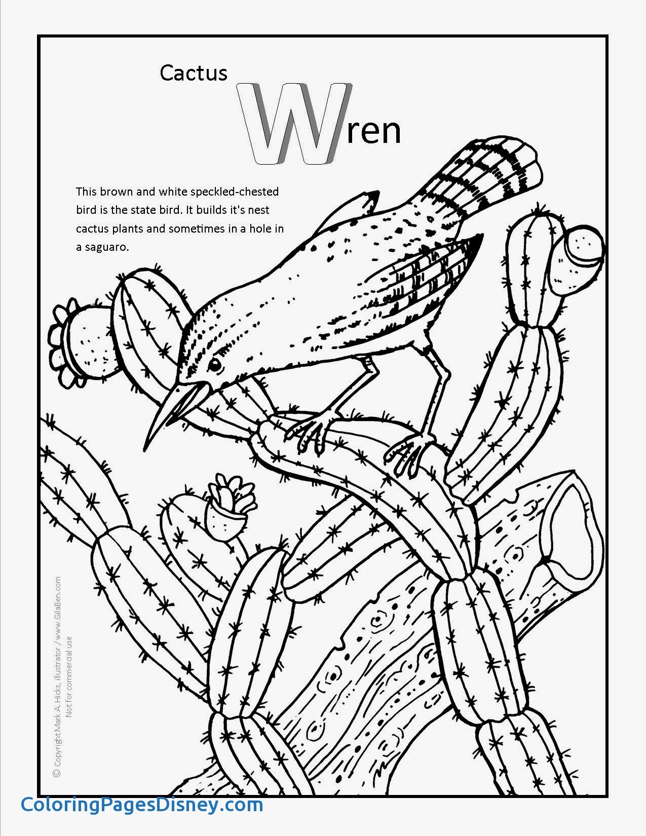 1275x1650 Mink Coloring Pages Awesome High Heel Shoes Coloring Pages Bing