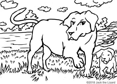450x325 Animal Coloring Pages