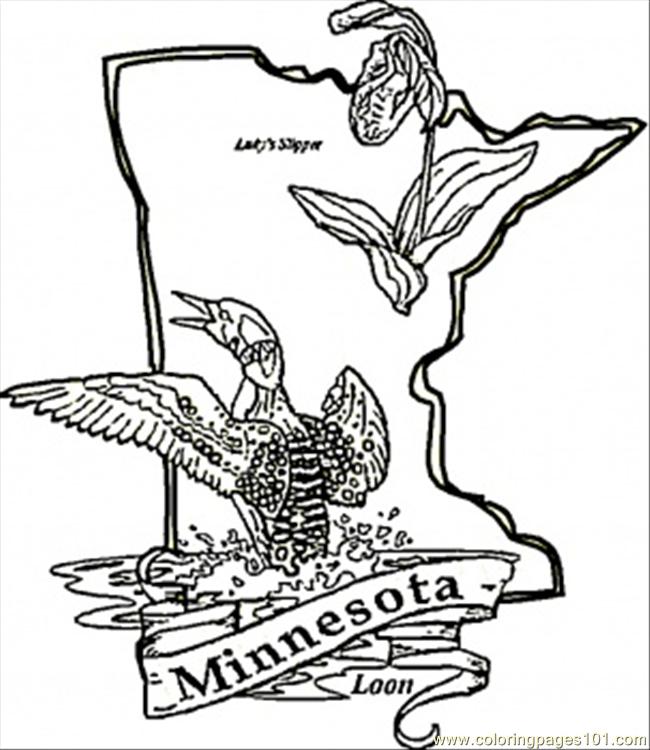 Minnesota Coloring Pages 650x750 Minnesota Coloring Pages