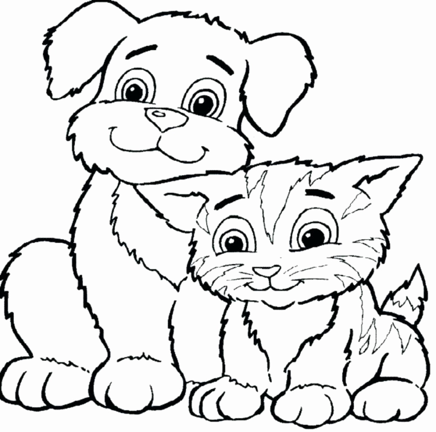 Miraculous Coloring Pages Gallery Cat Printable Coloring Pages As 878x869 Miraculous Coloring Pages Gallery Cat Printable Coloring Pages As