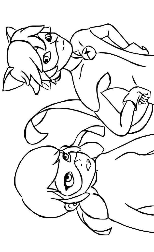 Cat Noir And Ladybug Together Coloring Page 627x1024 Cat Noir And Ladybug Together Coloring Page