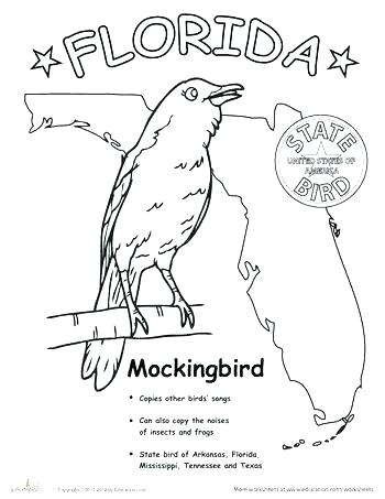 Mockingbird Coloring Page Drawing Northern Mockingbird Coloring 350x453 Mockingbird Coloring Page Drawing Northern Mockingbird Coloring