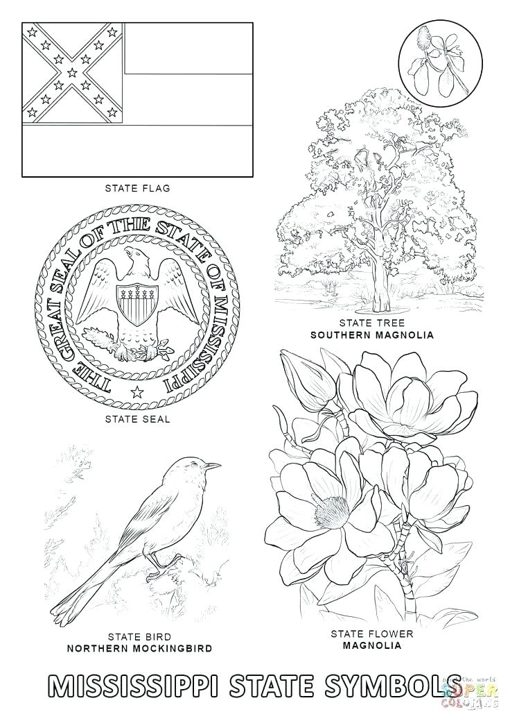 Mockingbird Coloring Page Mockingbird Coloring Page State Symbol 736x1039 Mockingbird Coloring Page Mockingbird Coloring Page State Symbol