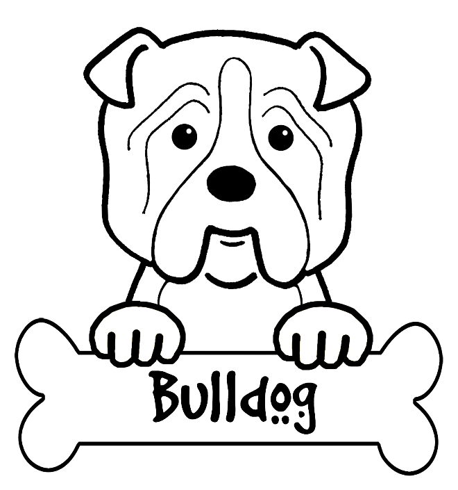 Mississippi State Bulldogs Col 660x705 Mississippi State Bulldogs Col