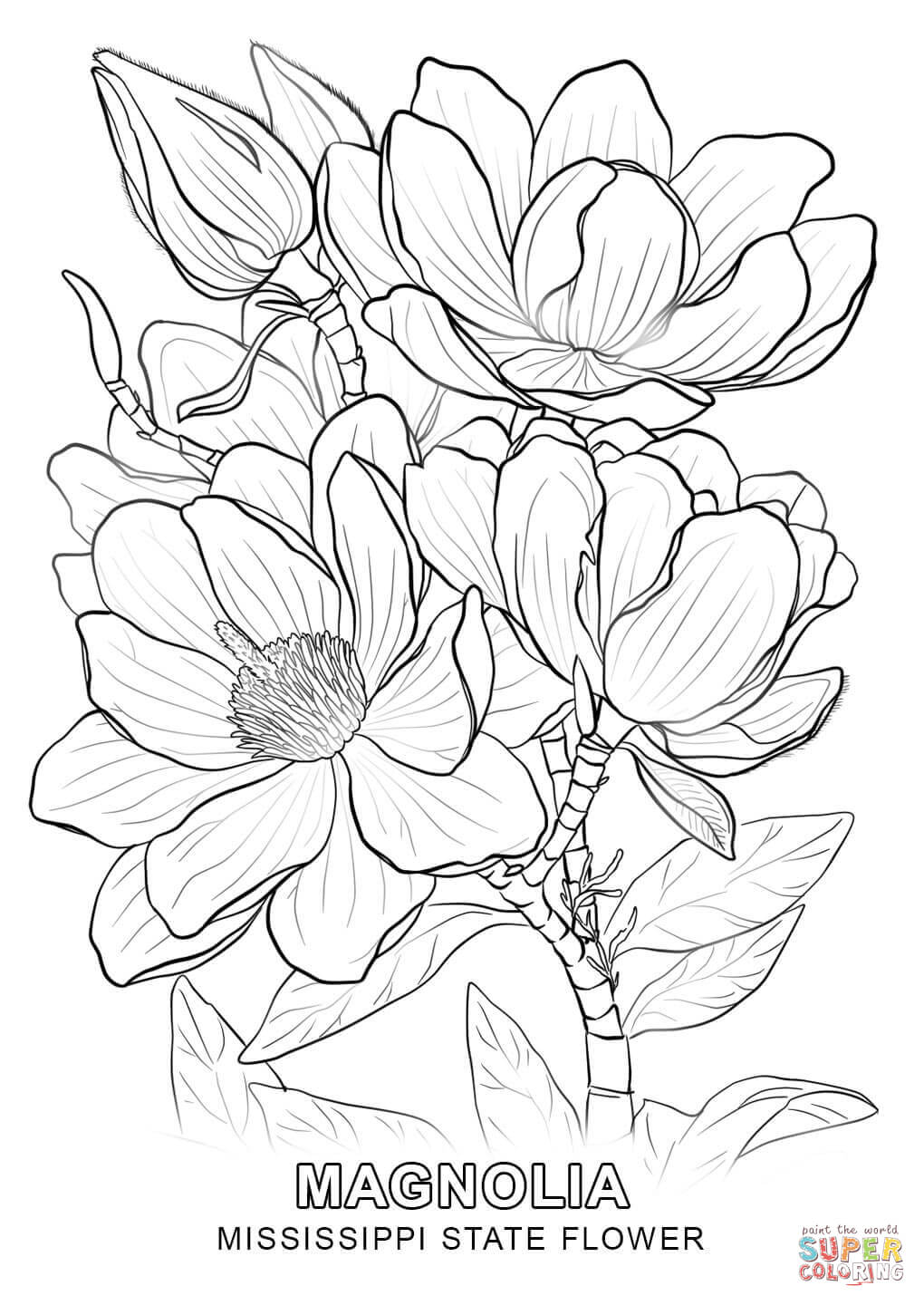 1020x1440 Mississippi State Flower Coloring Page With 9