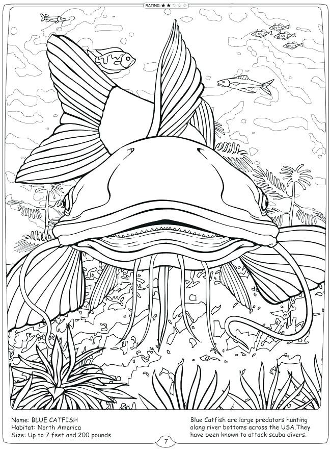 650x882 River Coloring Pages Ocean Habitat Coloring Pages Ocean Habitat