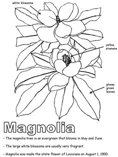 Mississippi State Quarter Coloring Page Usa State Quarters 236x314 Mississippi State Quarter Coloring Page Usa State Quarters