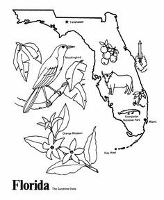 13 Best State Coloring Pages Images On 50 States 236x288 13 Best State Coloring Pages Images On 50 States