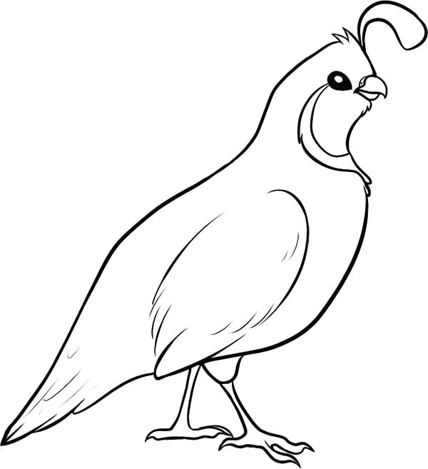 Missouri Coloring Page Click To See Printable Version State 600x657 Missouri Coloring Page Click To See Printable Version State