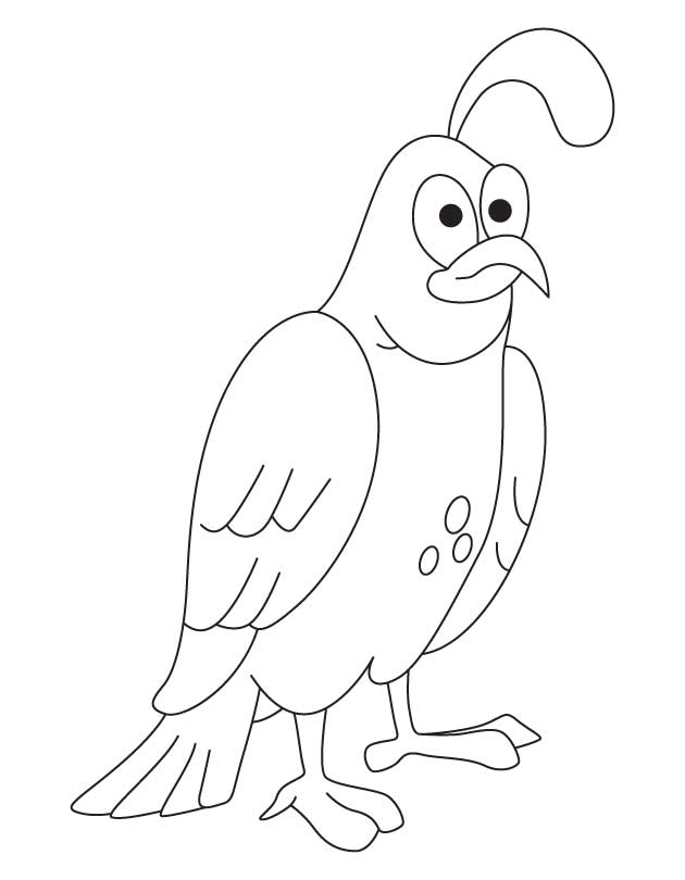 Coloring Pictures Quail Missouri Quail Coloring Page 630x810 Coloring Pictures Quail Missouri Quail Coloring Page