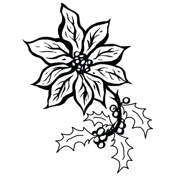 600x600 Mistletoe Coloring Page Medium Size Of Ornament Coloring Pages