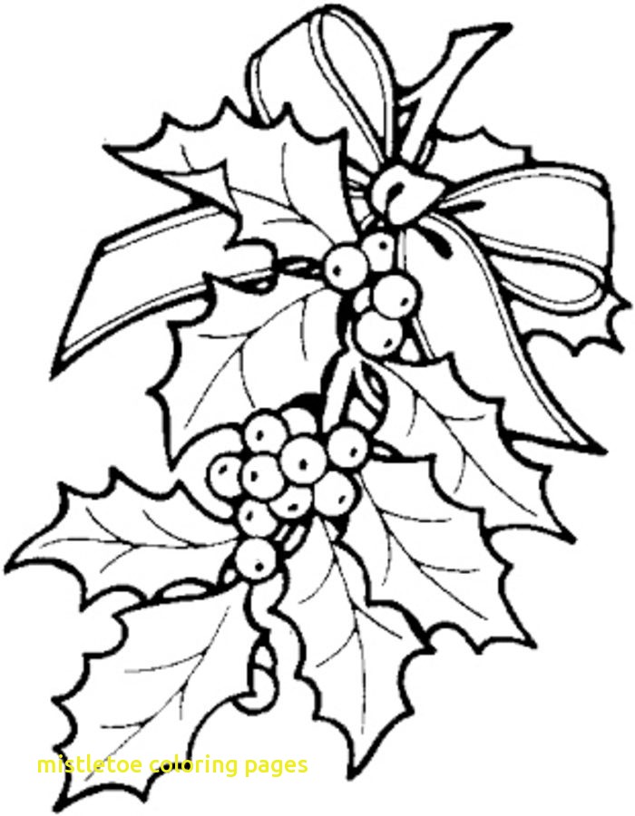700x900 Mistletoe Coloring Pages Mistletoe Ebestbuyvn.co