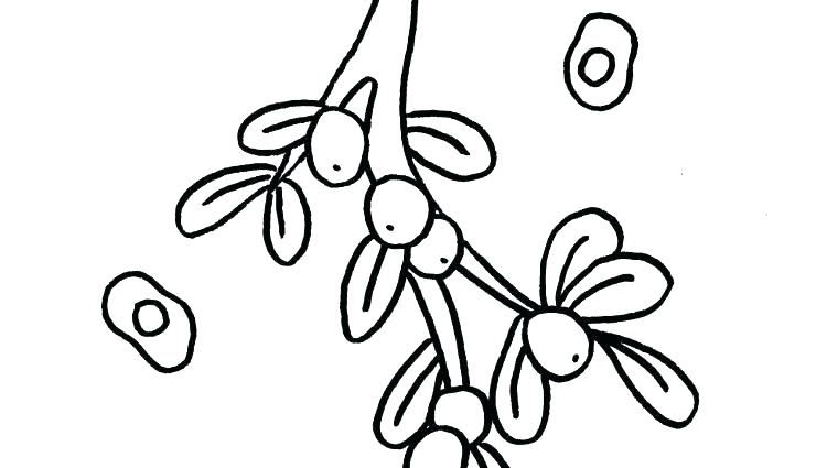 750x425 Mistletoe Coloring Pages Mistletoe Coloring Page Kiss Band