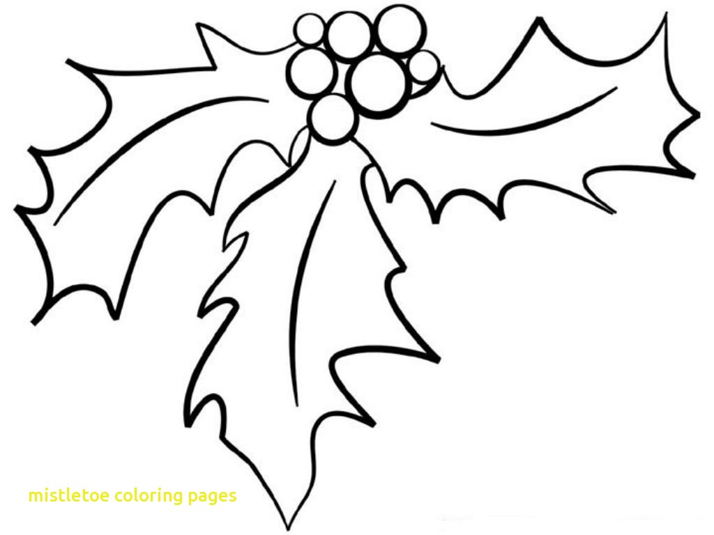 1024x768 Mistletoe Coloring Pages With Christmas Holly Best