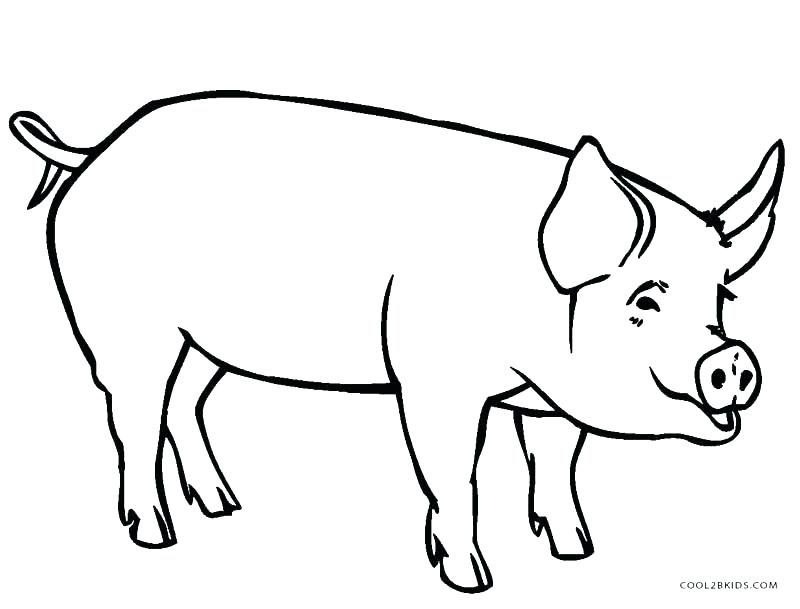 Mo Willems Coloring Pages 800x609 Mo Willems Coloring Pages