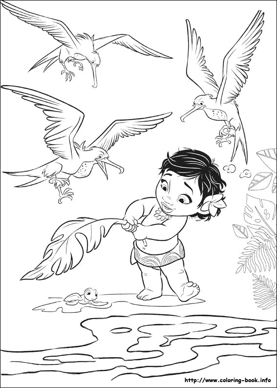 Moana Coloring Picture 567x794 Moana Coloring Picture
